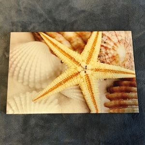 Seashell Picture